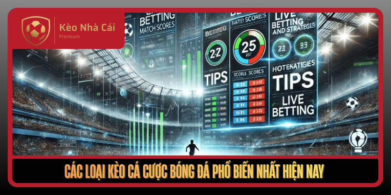 Kèo Nhà Cái nerland - tỷ lệ kèo nhà cái Trực Tuyến Bóng Đá 3 Cac Loai Keo Ca Cuoc Bong Da Pho Bien Nhat Hien Nay1